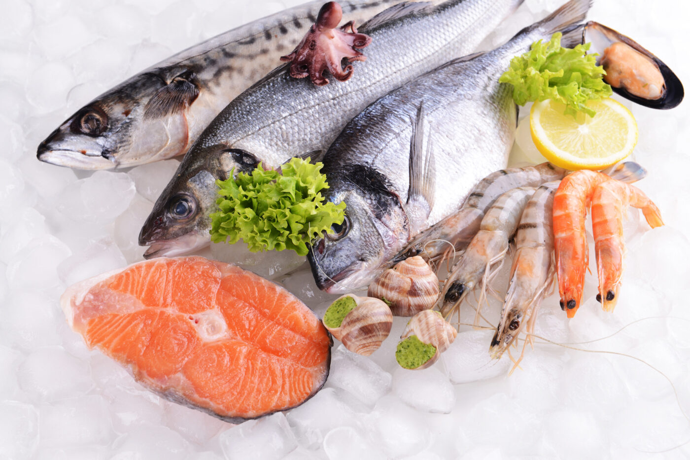 低カロリー・低脂質の魚を使ったヘルシーレシピでダイエット成功を！
